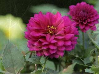 Смотреть порно секс вечеринки