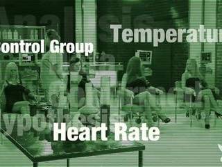 Первый анальный секс на кастинге