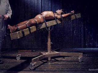 Порно красотки за деньги