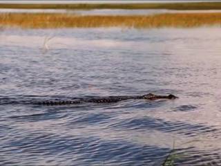 Двойное проникновение с молодой красоткой